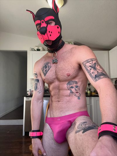 Tattoo Puppy