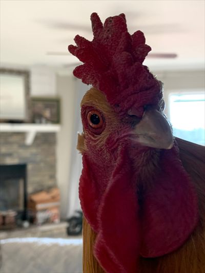 FarmhandMae VIP profile photo 2