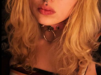starrkittenpremium