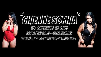 chiennesophia profile photo 2