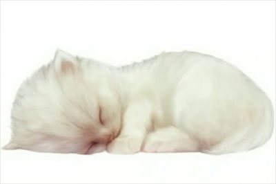 dolli profile photo 2