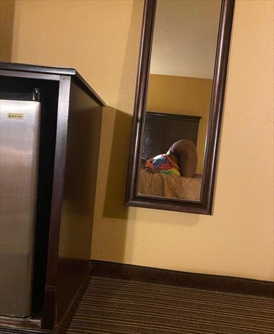 _.yofavcreammonster._ profile photo 2
