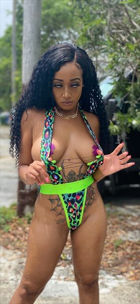 Dangerous Katt
