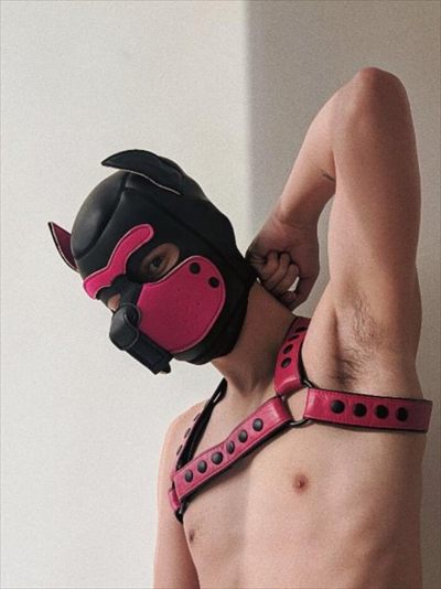 Pup Kura 🌸 profile photo 2
