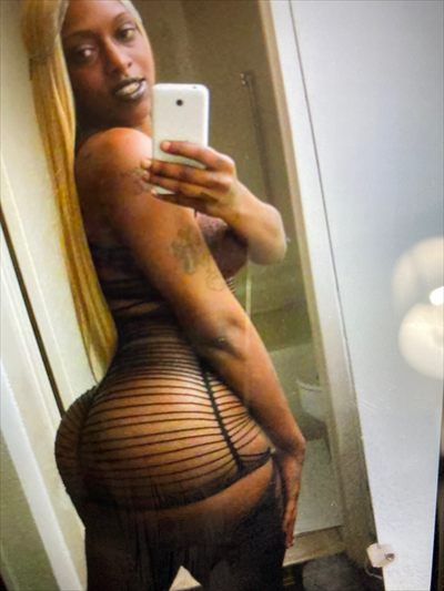 Exotic Chocolate profile photo 2