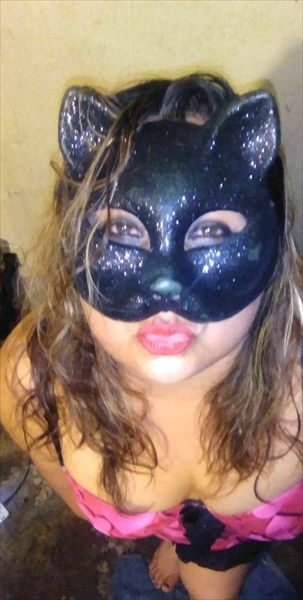 Gata Miel