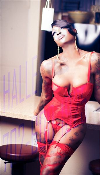 TS Halle