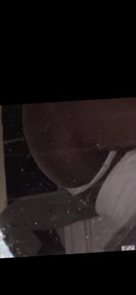 Mswettpussy profile photo 2