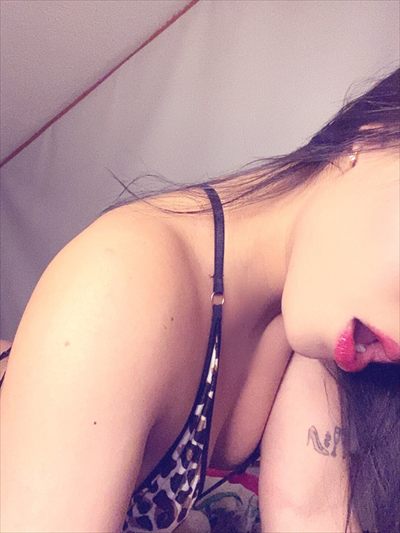 Catlleya🌺 profile photo 2