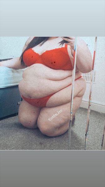 ssbbwbee