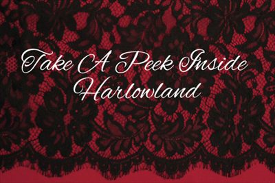 Harlow Wonderland profile photo 2