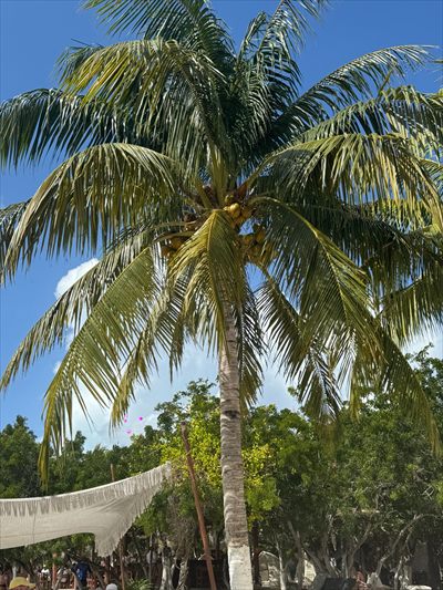 Beachbodz2 profile photo 2