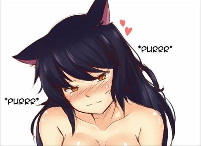Kitten profile photo 2