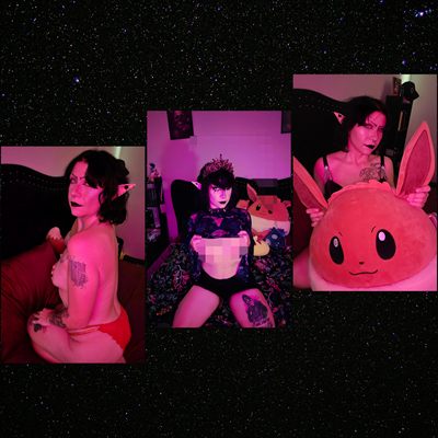 AsterFox profile photo 2