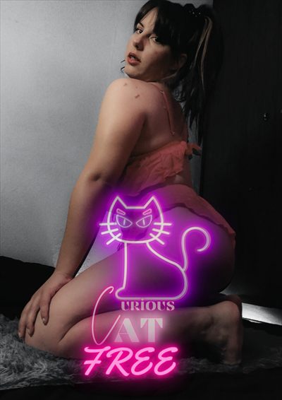 😼curious cat😼