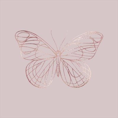 Mariposa profile photo 2
