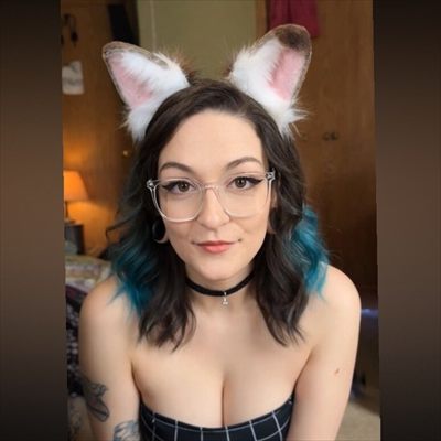 ⋆˚🐾˖° 𝒵𝑜𝒾𝑒 𝒫𝒶𝓌𝓈 ⋆˚🐾˖° 𝕧𝕚𝕡