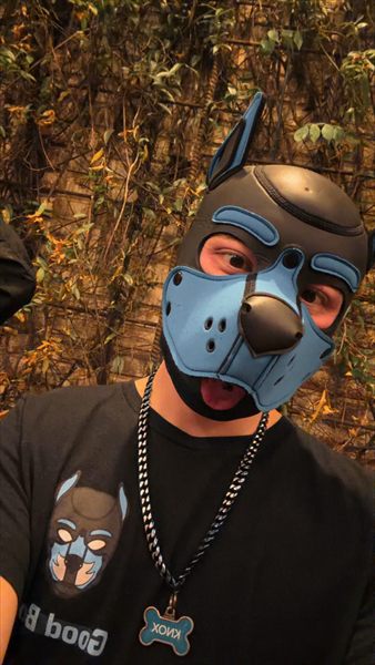 Puppy Knox