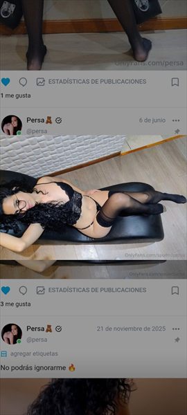 Persa🧸 profile photo 2