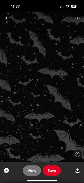 Vermillion Fang🦇 profile photo 2