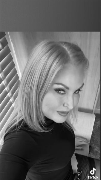 Littleminxmodel