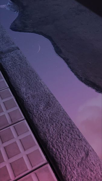 ♡ profile photo 2