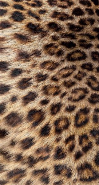 Ámbar profile photo 2