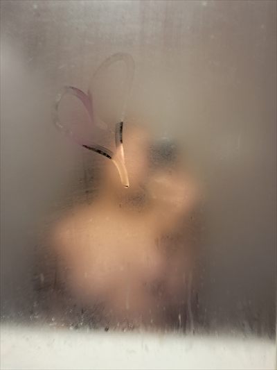 Ross Aura
