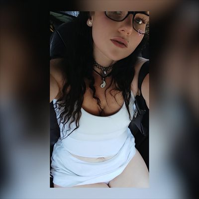 Kitten