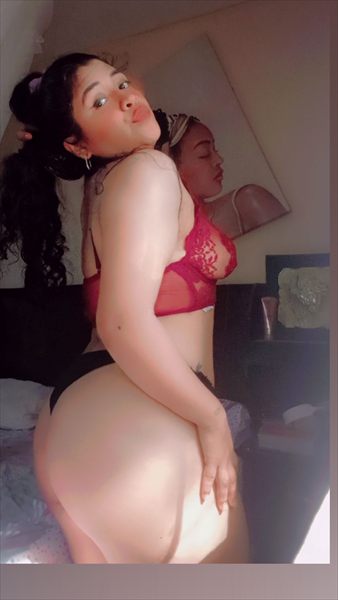 Gatita jeimu