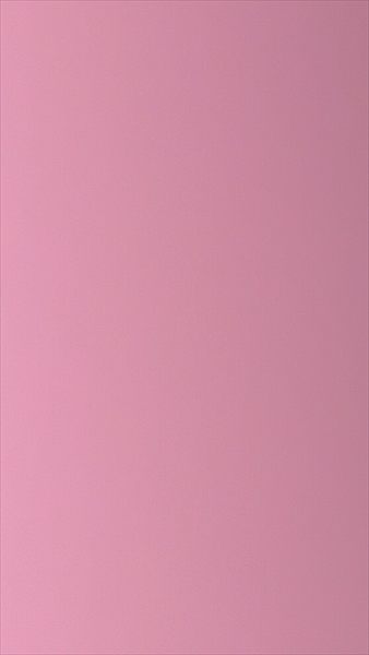 BDL profile photo 2