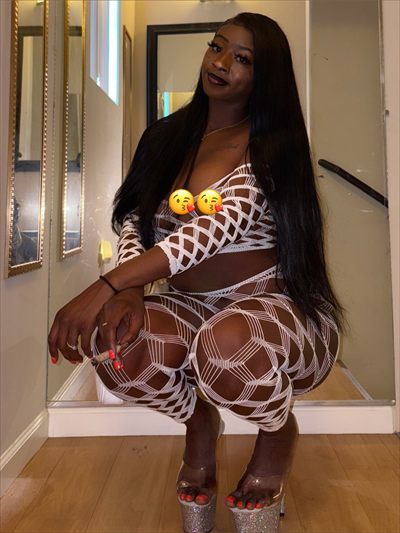 bossladii ty