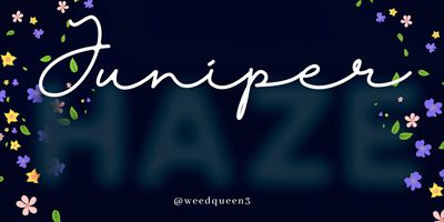 Juniper 👑 profile photo 2