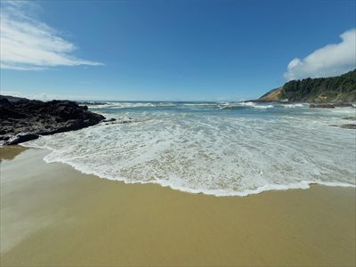 TheTeaseYouNeed profile photo 2
