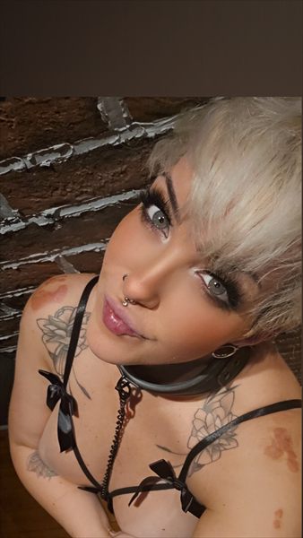Nikki Scar profile photo 2