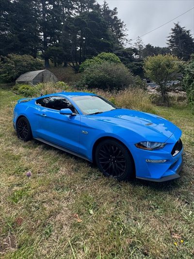 BigDickJunior💙😍👀 profile photo 2