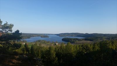 LillaSvampen profile photo 2