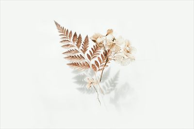 Annie Maree profile photo 2