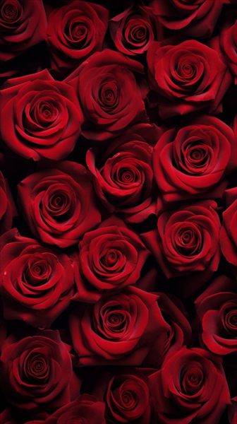 Mia Rose 🌹 profile photo 2