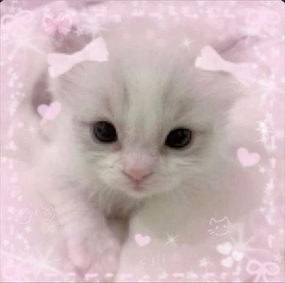 sherri ♡‧₊˚