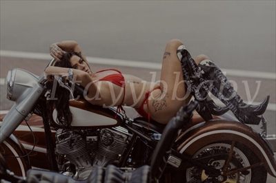 Taylor profile photo 2