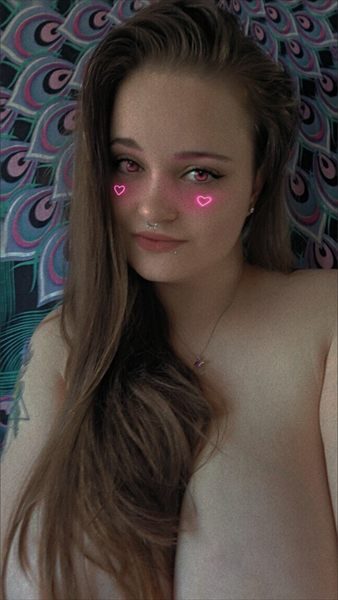 Kitten