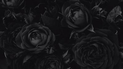 𝔅𝔯𝔞𝔱👼🏼🔪🖤 profile photo 2