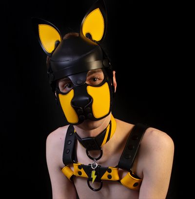 Pup Voltzy