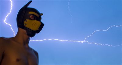 Pup Voltzy profile photo 2