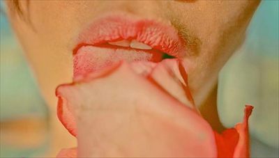 Carmen rose 🌹 profile photo 2