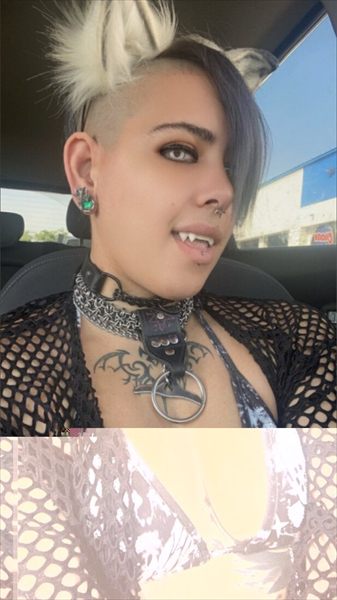 Tala the goth pup profile photo 3
