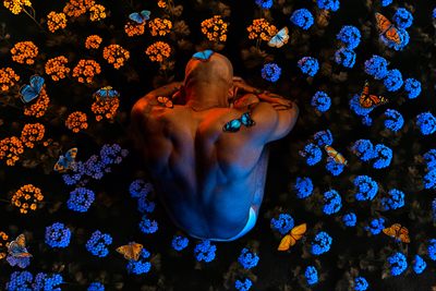 Austin Wilde profile photo 2