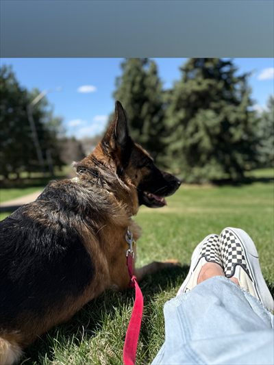 Inkeddog profile photo 2