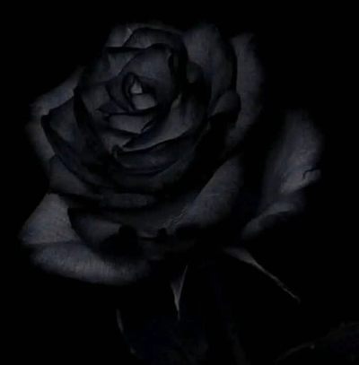 Krizzanovae profile photo 2